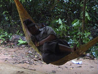 asleep in hammock