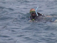 marc diving