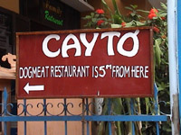 dog meat diner